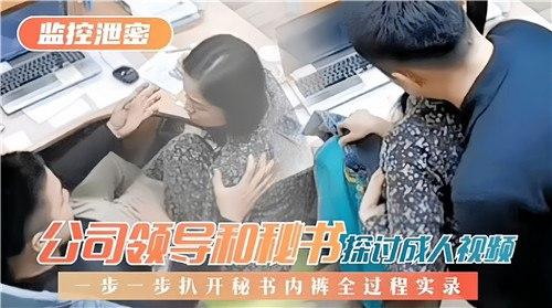 公司领导和秘书探讨成人视频，一步一步扒开秘书内裤圈过程实录