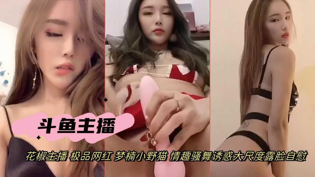 抖音网红女主播梦楠小野猫情趣骚舞道具自慰诱惑露脸自慰