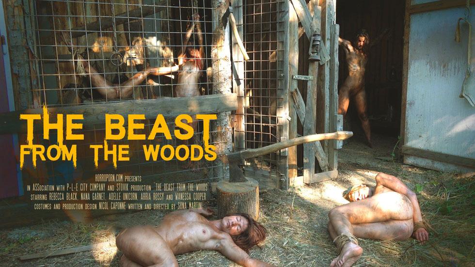 来自森林的野兽